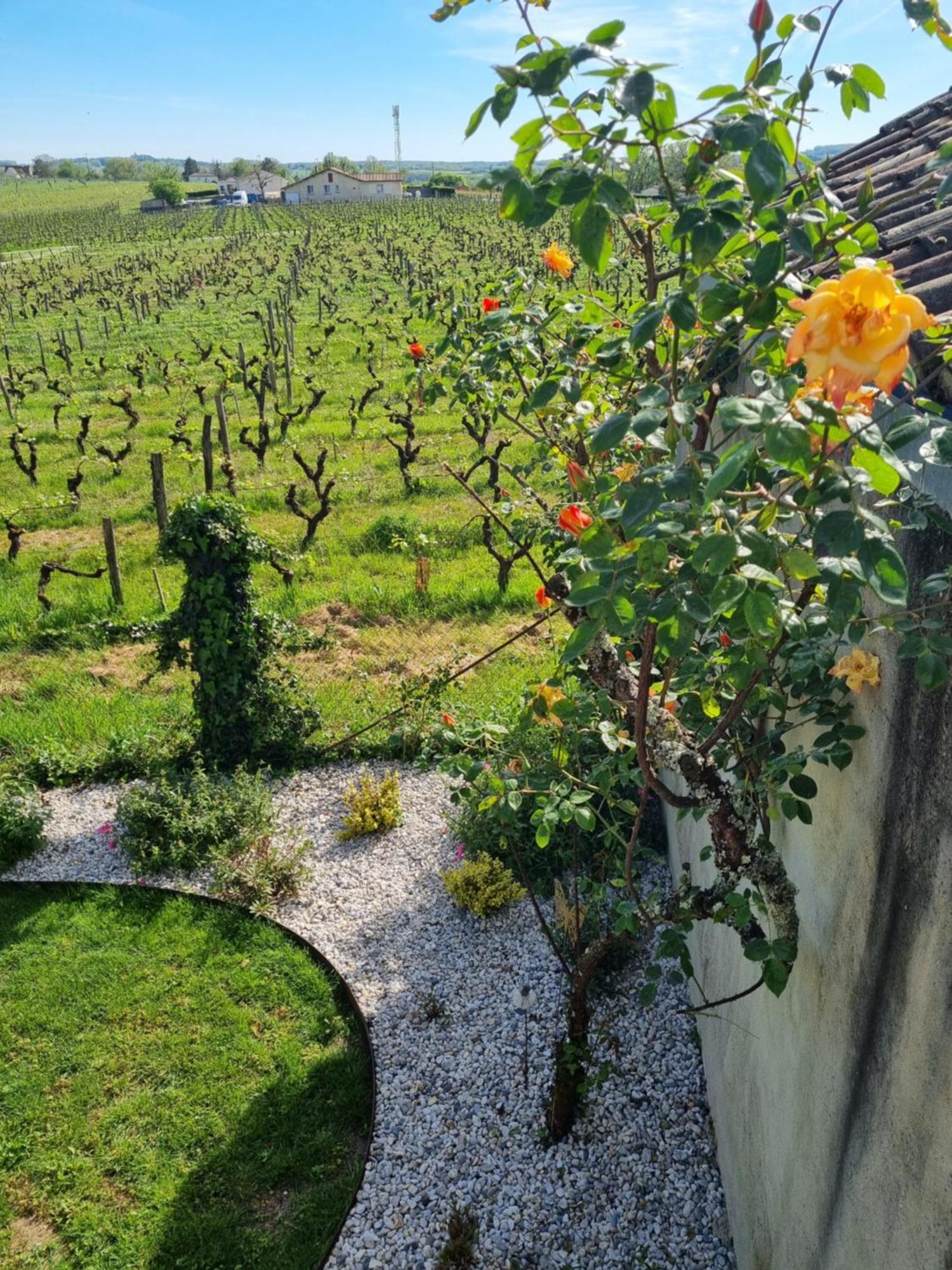 L'Esprit Du 24 Bed & Breakfast Rouffignac-de-Sigoules Exterior photo